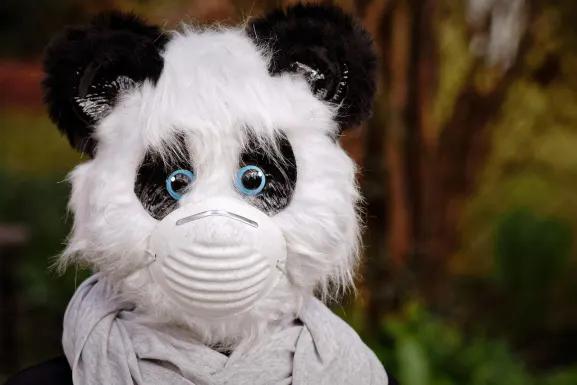 Kasino Hot Line Sokongan